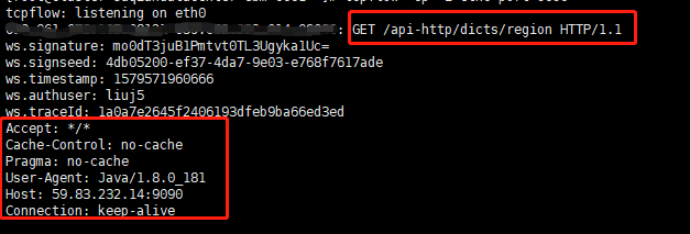 tcpflow