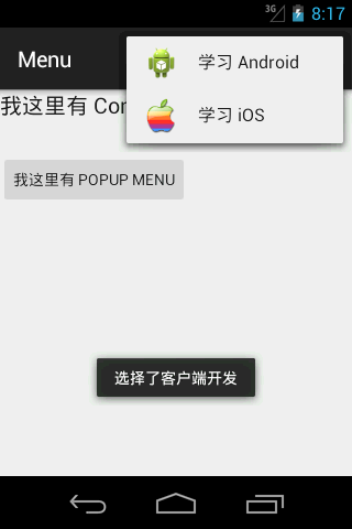 Option menu 示例
